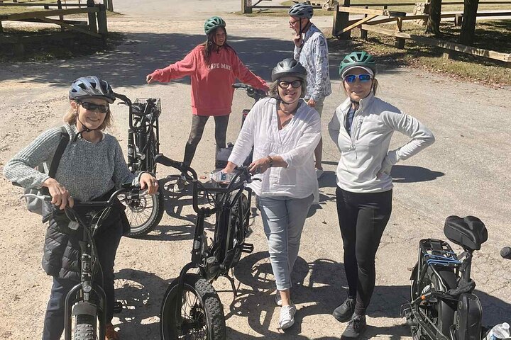 Guided Asheville E-bike Tour of River Arts, Mountains and Murals