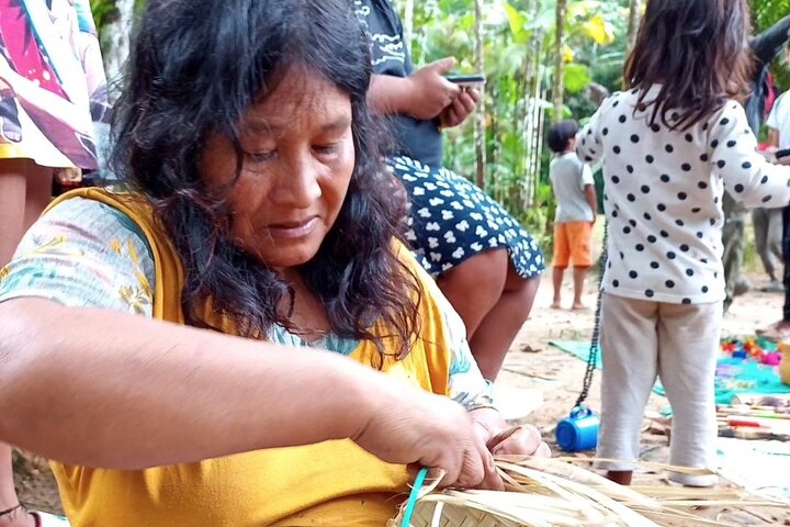 Santos Shore Excursion: Full Day Rain Forest Indian Reservation