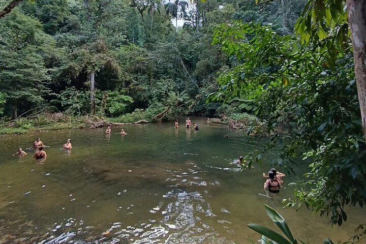 Santos Shore Excursion: Full Day Rain Forest Indian Reservation