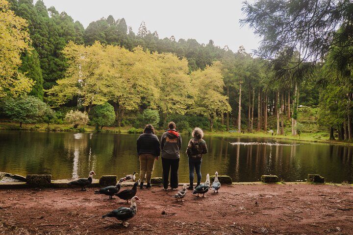From Angra: Terceira Island Full-Day Tour (Shared Tour)