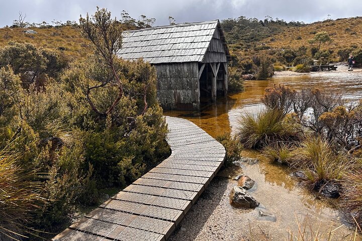 Cradle Mountain Day Tour from Launceston Including Lunch