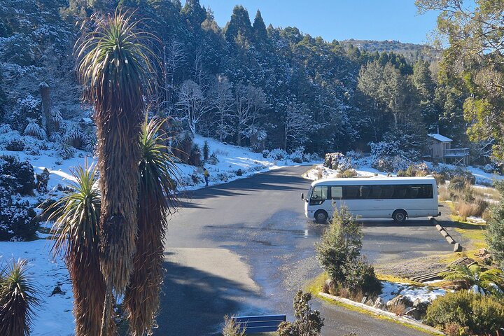 Cradle Mountain Half Day Park Explorer Tour with Lunch