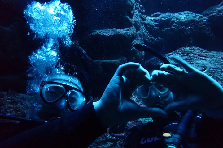 Diving experience on Ishigaki Island - including equipment rental - Shower available - Photo gift -
