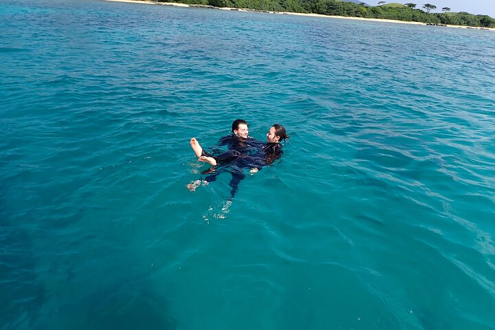 Diving experience on Ishigaki Island - including equipment rental - Shower available - Photo gift -