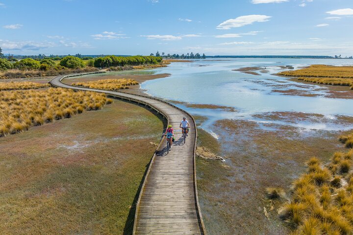 Nelson to Mapua: Full-Day Self-Guided Cycling Adventure