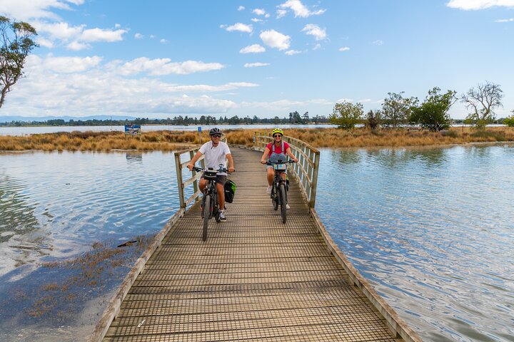 Nelson to Mapua: Full-Day Self-Guided Cycling Adventure