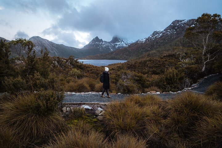 Cradle Mountain Half Day Park Explorer Tour with Lunch
