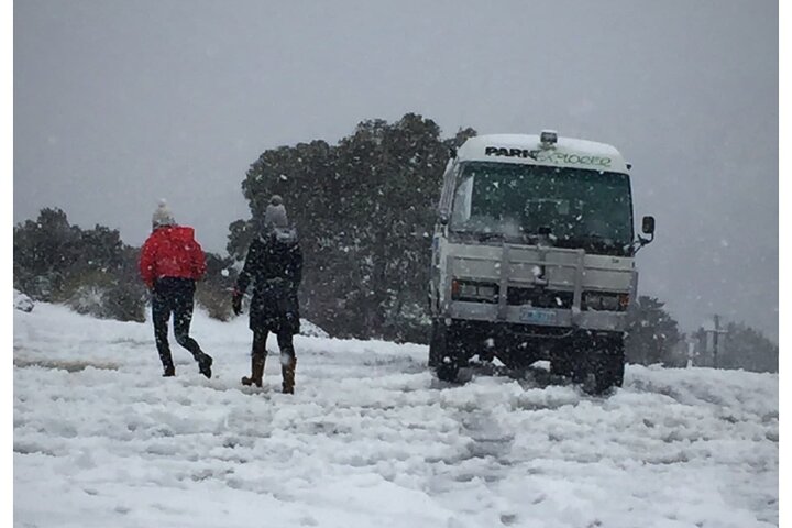 Cradle Mountain Half Day Park Explorer Tour with Lunch