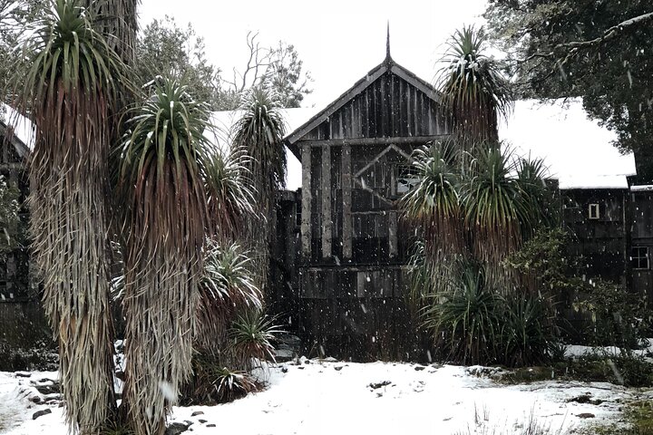 Cradle Mountain Half Day Park Explorer Tour with Lunch
