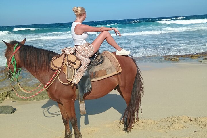 Aruba Ecological & Coastline Horseback Ride with Beach Photo Stop