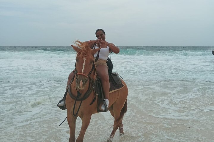 Aruba Ecological & Coastline Horseback Ride with Beach Photo Stop
