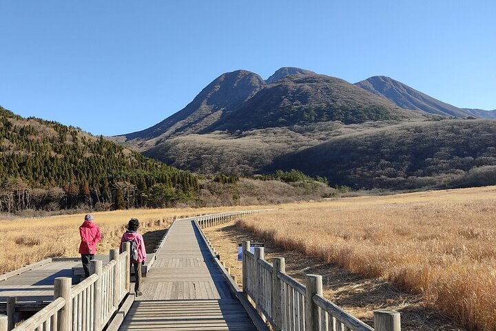 Beppu Luxury Nature Escape: Highland Walk Sky Bridge and Yufuin