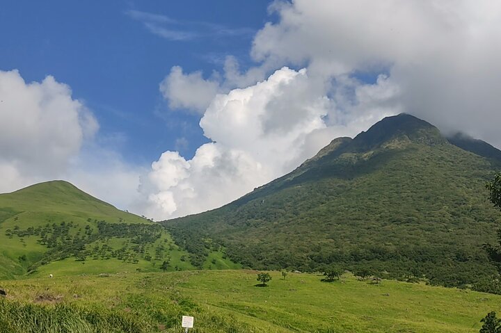 Beppu Luxury Nature Escape: Highland Walk Sky Bridge and Yufuin