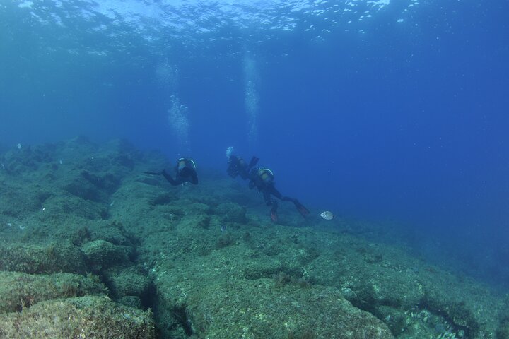 Double Diving Departure in Faial