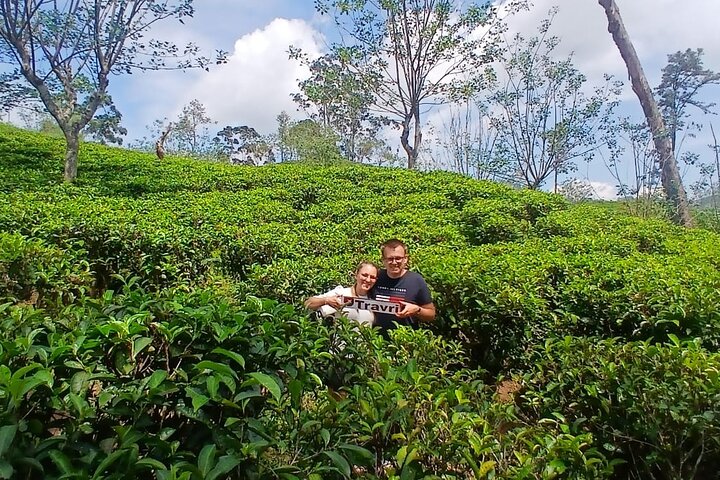 Nuwara Eliya 2 Tea Factory Tea Test &Pick 2 Waterfalls Nature Day