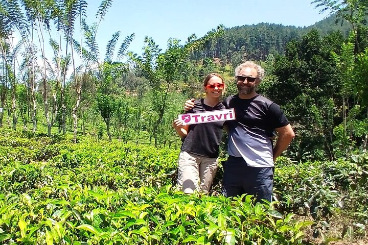 Nuwara Eliya 2 Tea Factory Tea Test &Pick 2 Waterfalls Nature Day