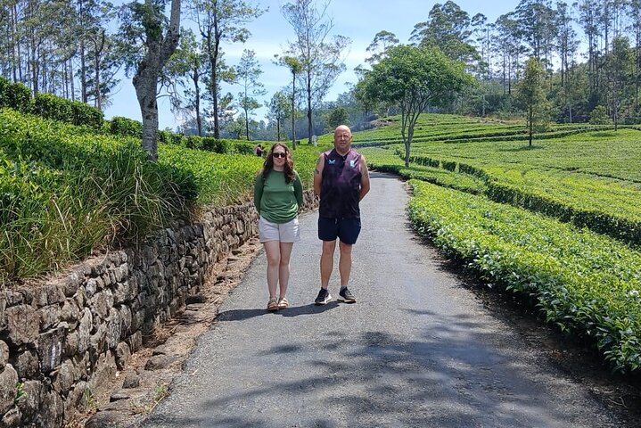 Nuwara Eliya 2 Tea Factory Tea Test &Pick 2 Waterfalls Nature Day