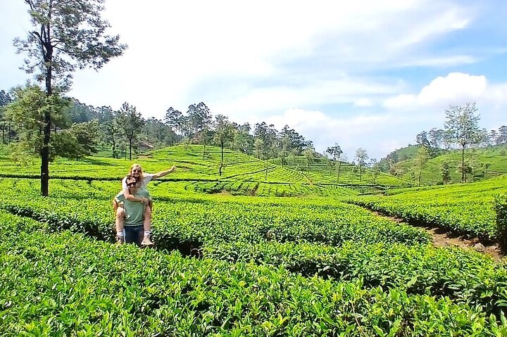 Nuwara Eliya 2 Tea Factory Tea Test &Pick 2 Waterfalls Nature Day