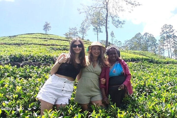 Nuwara Eliya 2 Tea Factory Tea Test &Pick 2 Waterfalls Nature Day