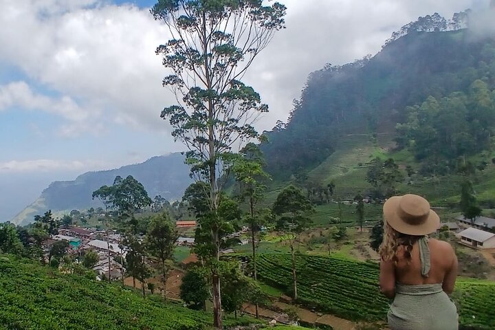 Nuwara Eliya 2 Tea Factory Tea Test &Pick 2 Waterfalls Nature Day
