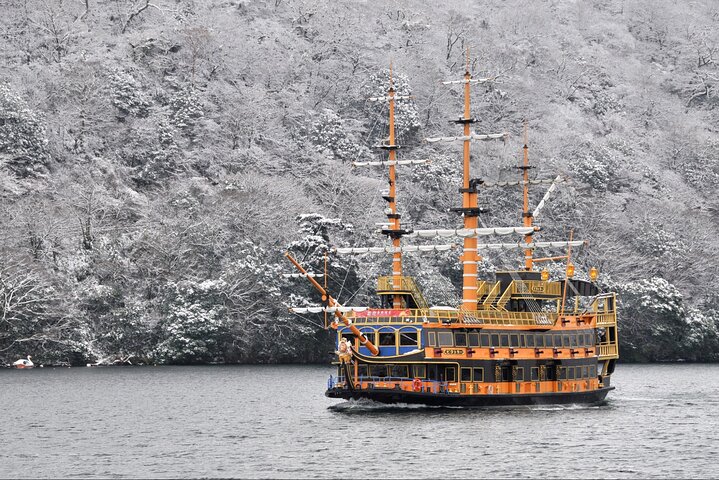 Hakone & Mt Fuji Private Custom Tour with English Driver-guide