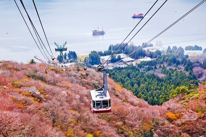 Hakone & Mt Fuji Private Custom Tour with English Driver-guide