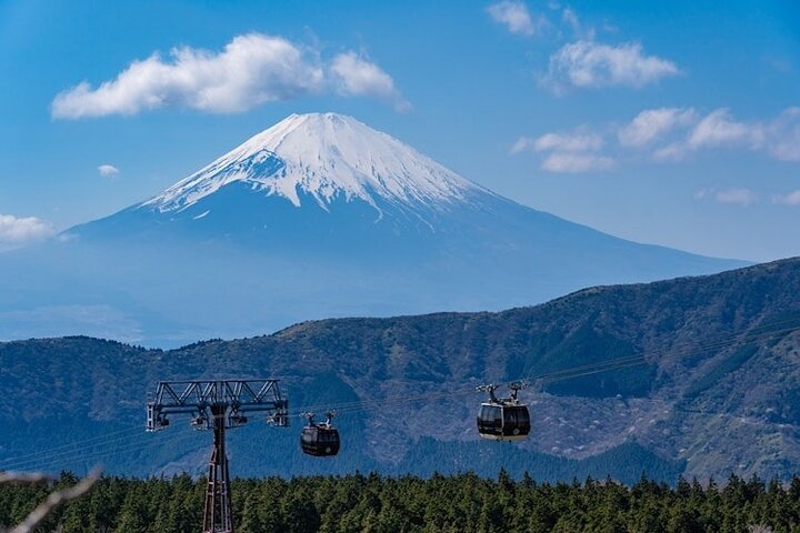Hakone & Mt Fuji Private Custom Tour with English Driver-guide