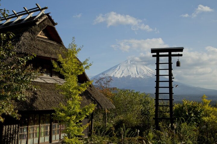 Hakone & Mt Fuji Private Custom Tour with English Driver-guide