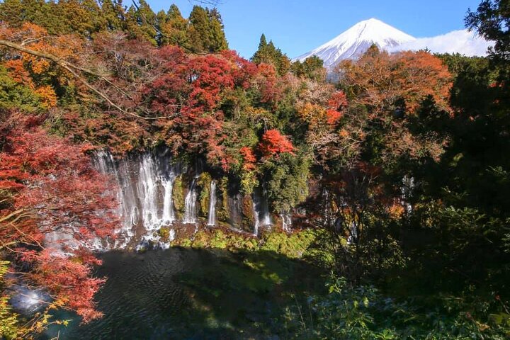 Hakone & Mt Fuji Private Custom Tour with English Driver-guide