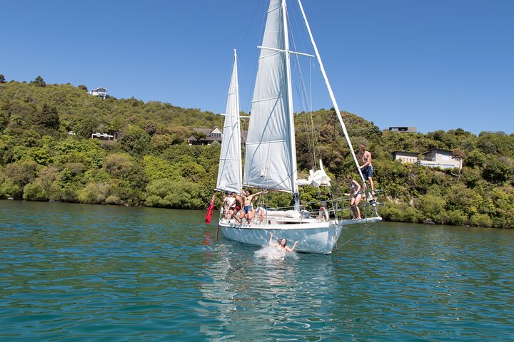 Eco Sailing Tour to Maori Rock Carvings on Lake Taupo