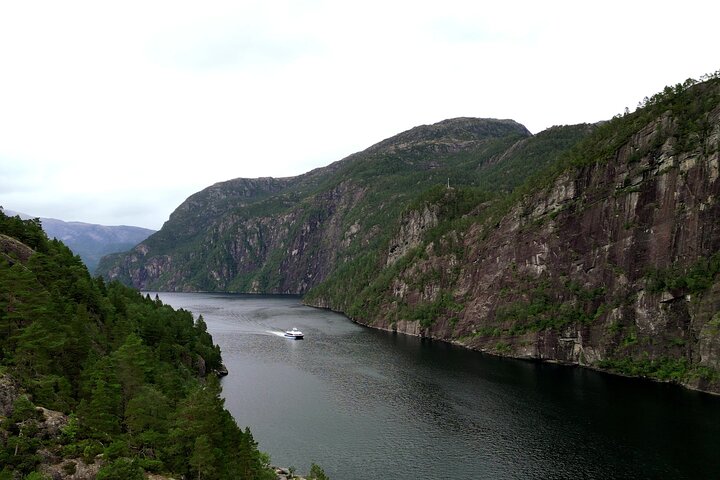 Bergen: Half-day fjord cruise to Mostraumen