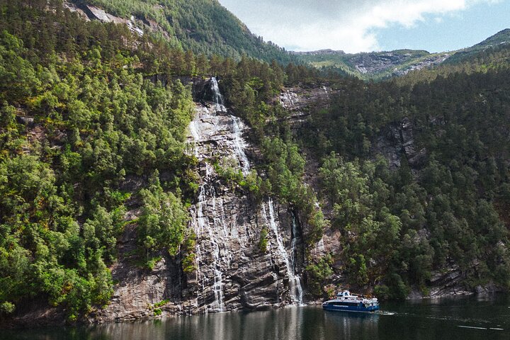 Bergen: Half-day fjord cruise to Mostraumen