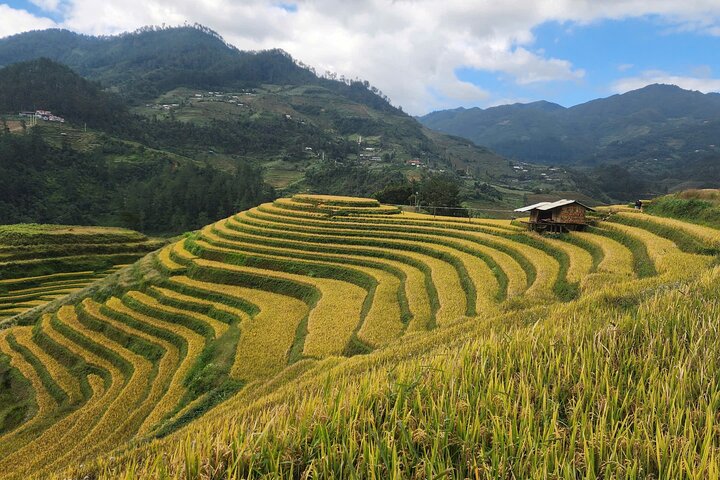 2 Days Motorbike Tour from Mu Cang Chai to Sapa