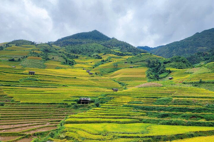 2 Days Motorbike Tour from Mu Cang Chai to Sapa