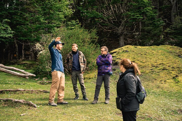 Tierra del Fuego National Park – Small Groups. Optional Train