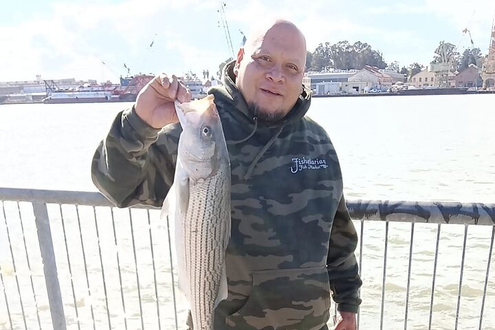 Learn to Pier Fish: Beginner Groups 2-6 persons (No license)