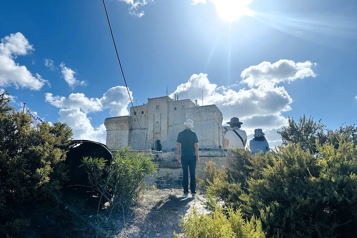 Private Tour - A Monumental Maltese Experience