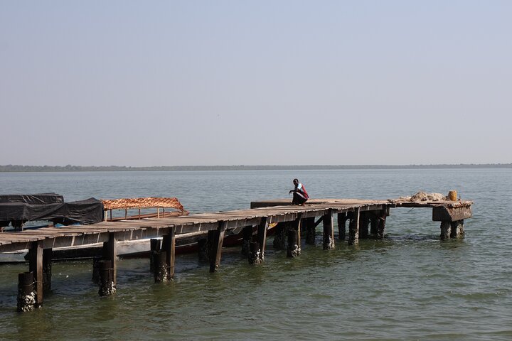 Roots River Cruise Explore Kunta Kinteh Island and Museum