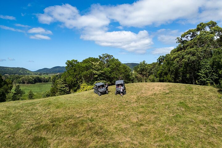 UTV 4wd Cassowary Falls and Daintree Rainforest Adventure tour