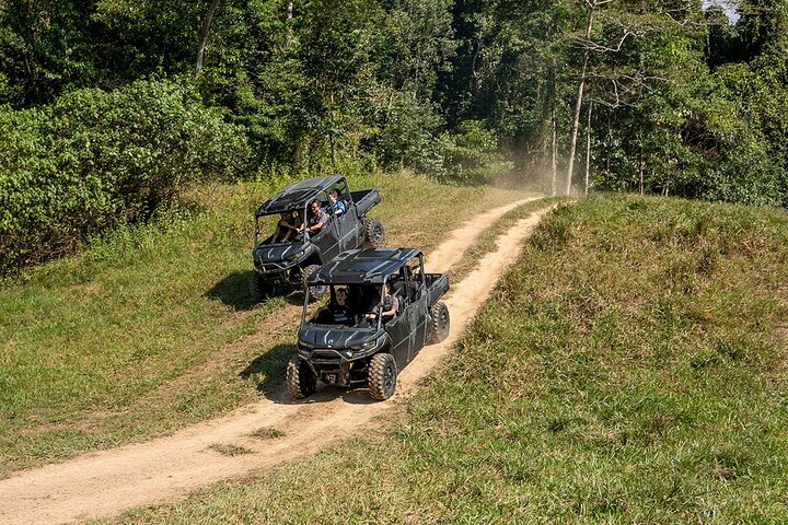 UTV 4wd Cassowary Falls and Daintree Rainforest Adventure tour