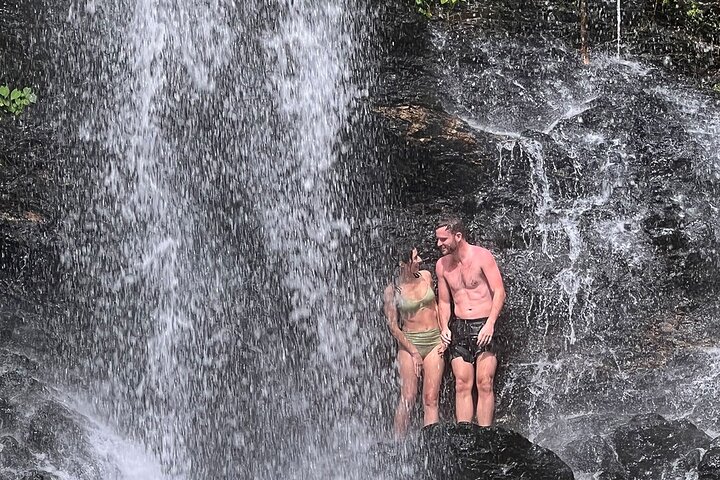 UTV 4wd Cassowary Falls and Daintree Rainforest Adventure tour