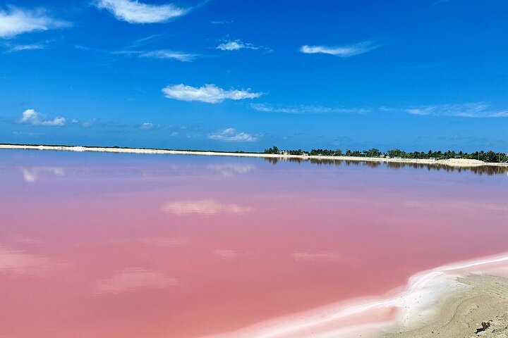 Mérida: Las Coloradas and Río Lagartos with Boat Tour and Lunch