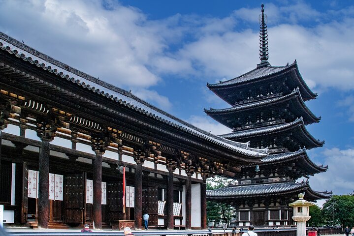 Private Nara Tour and Sake Tasting (Departing from Kyoto/Nara)