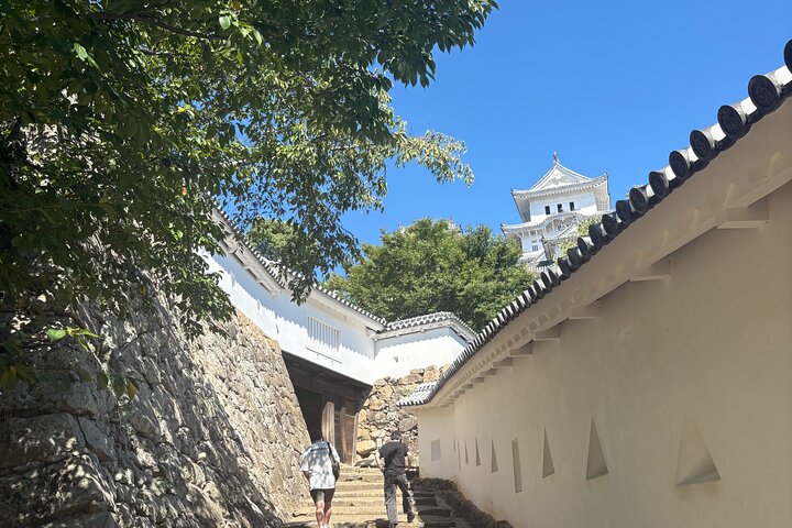 Himeji Castle tour with a Local University Student Guide