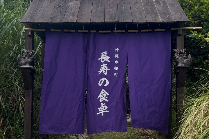 Near Churaumi Aquarium | Longevity Secrets × Food & Culture