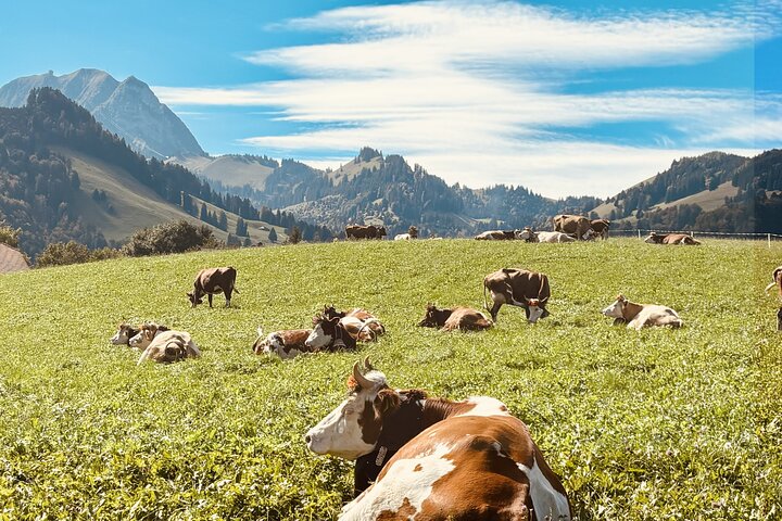 Gruyères Cheese and Chocolate tour from Geneva with local host
