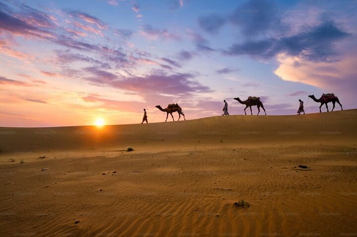 Pushkar: Sunset Camel Safari with Hotel Pick up & Drop off