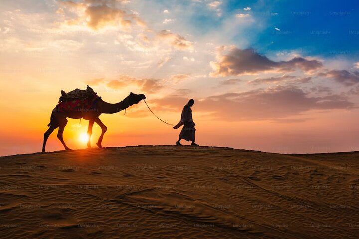 Pushkar: Sunset Camel Safari with Hotel Pick up & Drop off