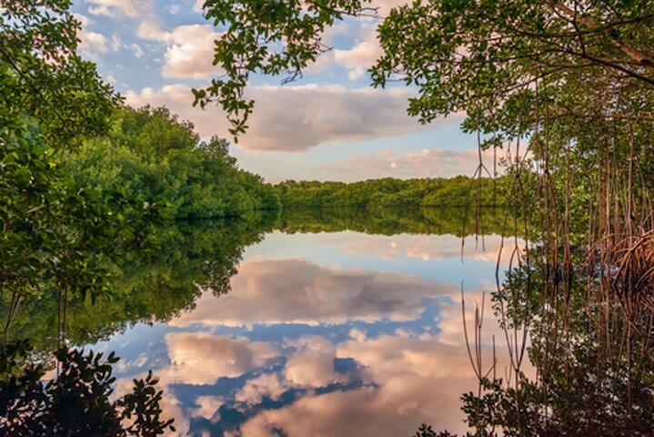 Everglades National Park Self Guided Driving Tour Audio/GPS