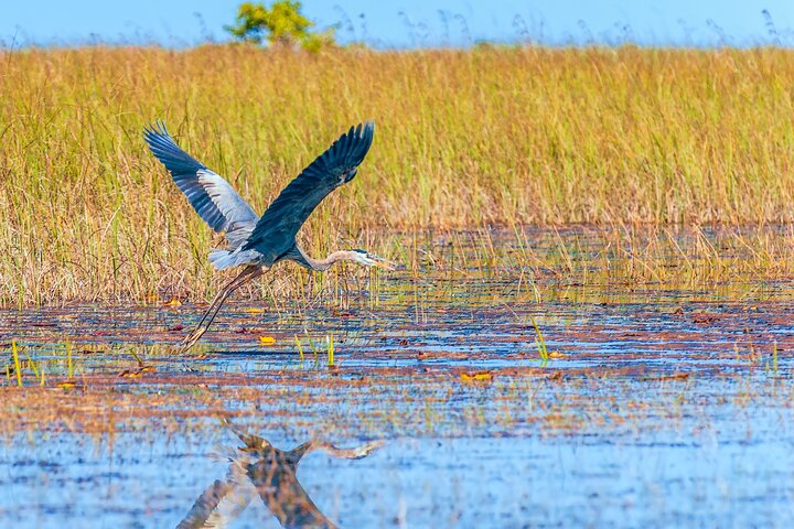 Everglades National Park Self Guided Driving Tour Audio/GPS